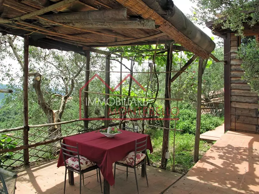 Immagine 44 di Rustico / casale in vendita  a Camaiore