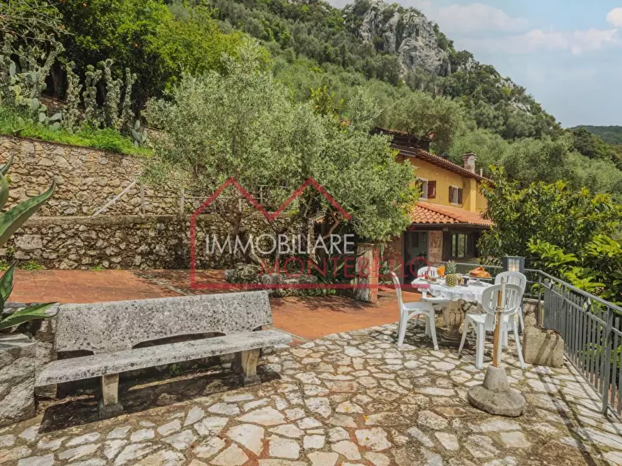 Immagine 47 di Rustico / casale in vendita  a Camaiore