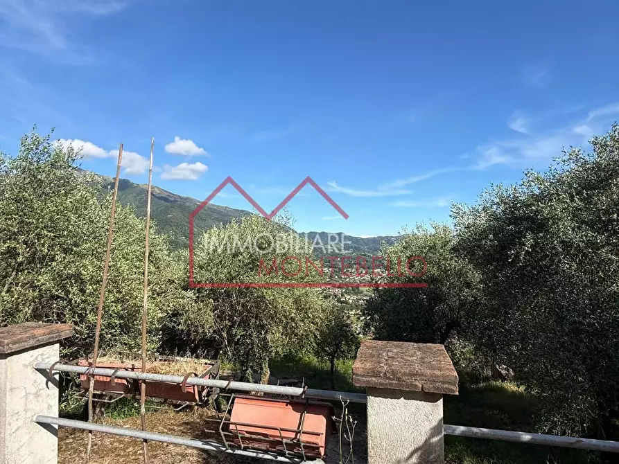 Immagine 18 di Casa indipendente in vendita  a Camaiore