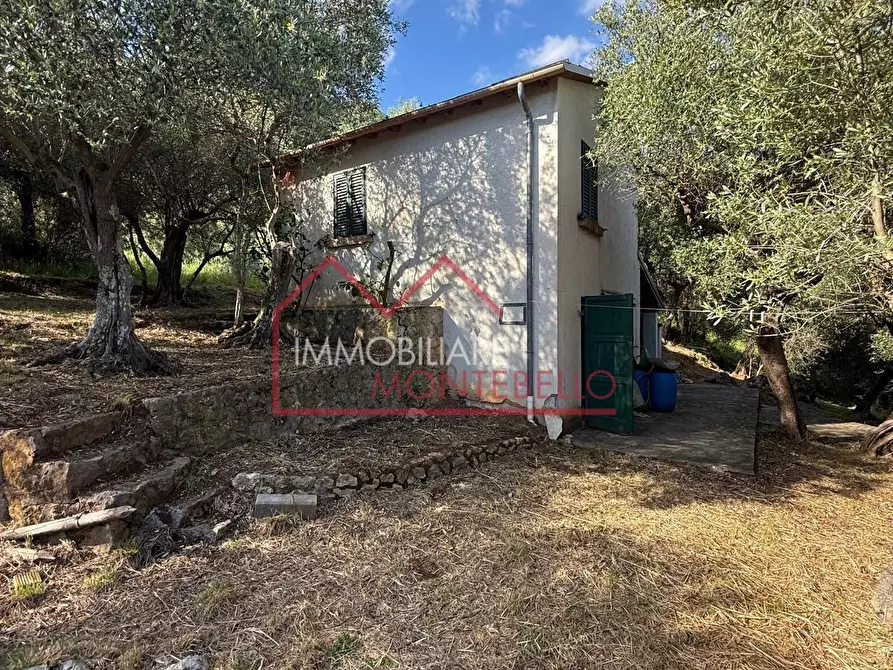 Immagine 12 di Casa indipendente in vendita  a Camaiore