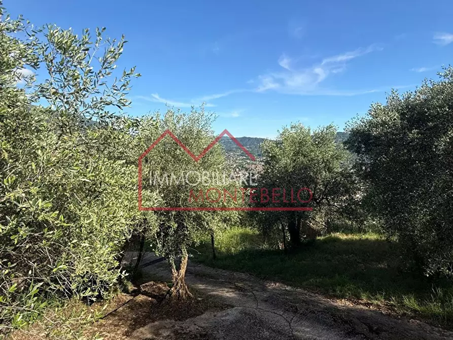 Immagine 17 di Casa indipendente in vendita  a Camaiore