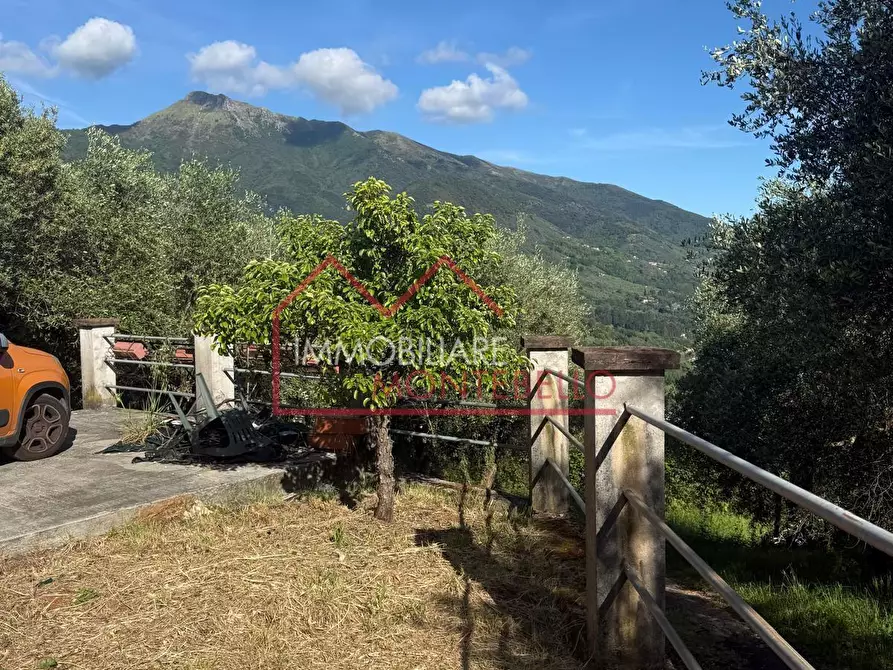 Immagine 20 di Casa indipendente in vendita  a Camaiore
