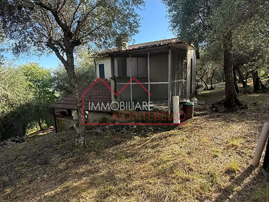 Immagine 14 di Casa indipendente in vendita  a Camaiore