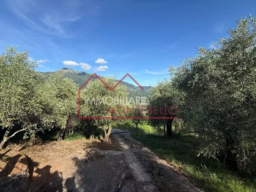 Immagine 19 di Casa indipendente in vendita  a Camaiore