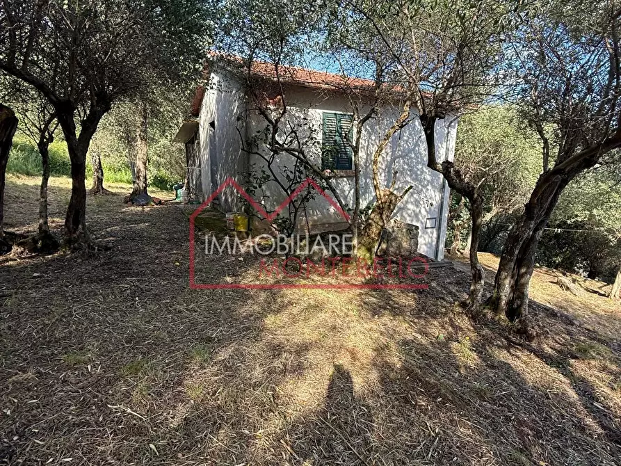 Immagine 22 di Casa indipendente in vendita  a Camaiore