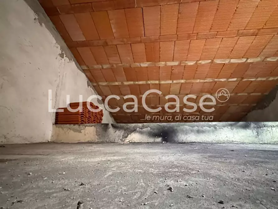 Immagine 13 di Casa colonica in vendita  a Capannori