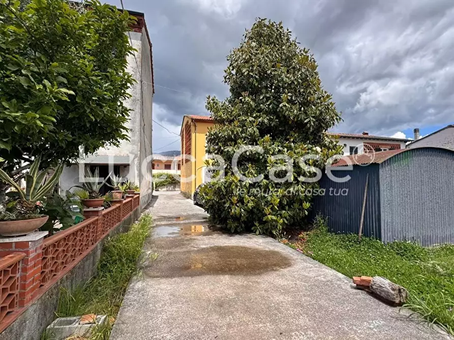 Immagine 28 di Casa colonica in vendita  a Capannori