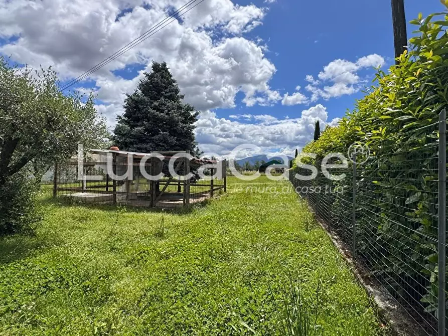 Immagine 23 di Casa colonica in vendita  a Capannori