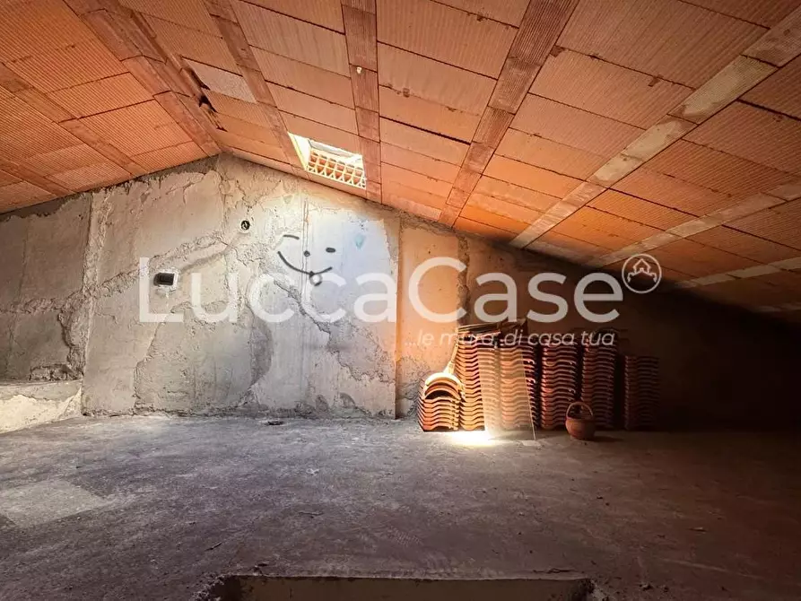 Immagine 15 di Casa colonica in vendita  a Capannori