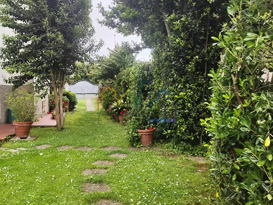 Immagine 6 di Casa bifamiliare in vendita  a San Giuliano Terme