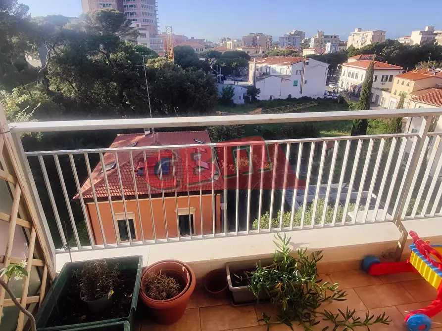 Immagine 3 di Appartamento in vendita  a Livorno