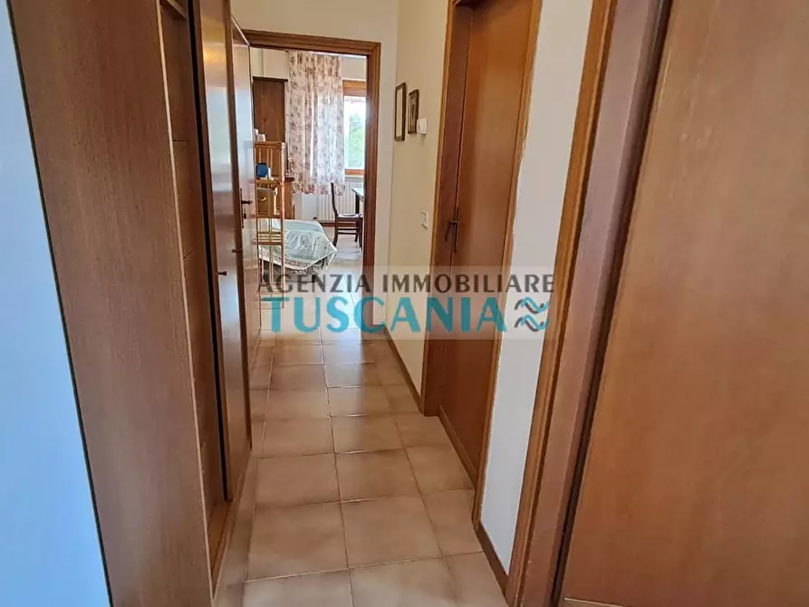 Immagine 15 di Appartamento in vendita  a Rosignano Marittimo