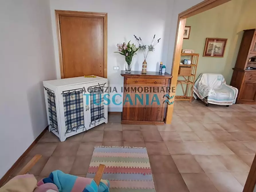 Immagine 11 di Appartamento in vendita  a Rosignano Marittimo