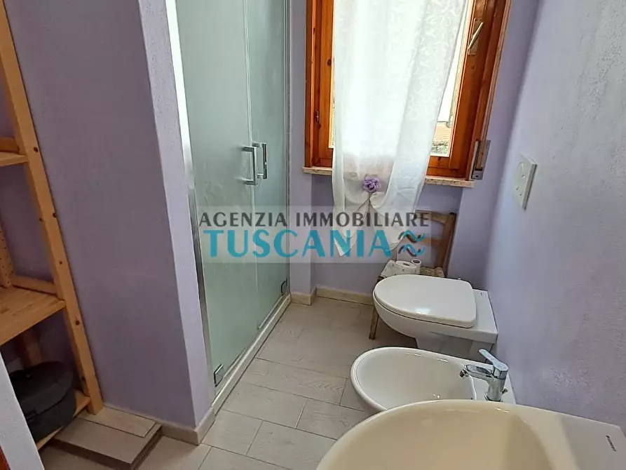 Immagine 20 di Appartamento in vendita  a Rosignano Marittimo
