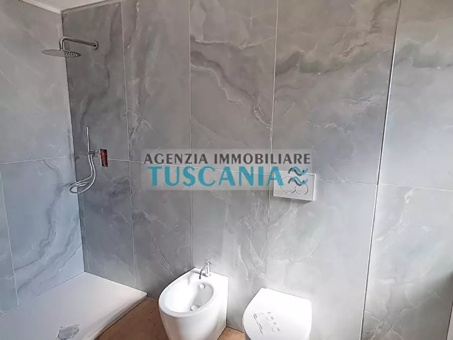 Immagine 18 di Casa colonica in vendita  a Bibbona