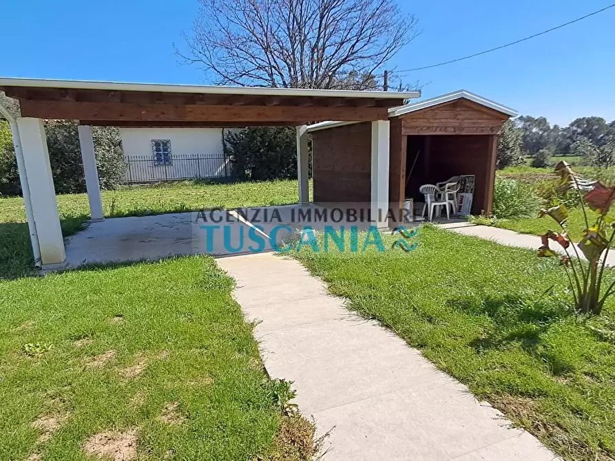 Immagine 27 di Casa colonica in vendita  a Bibbona