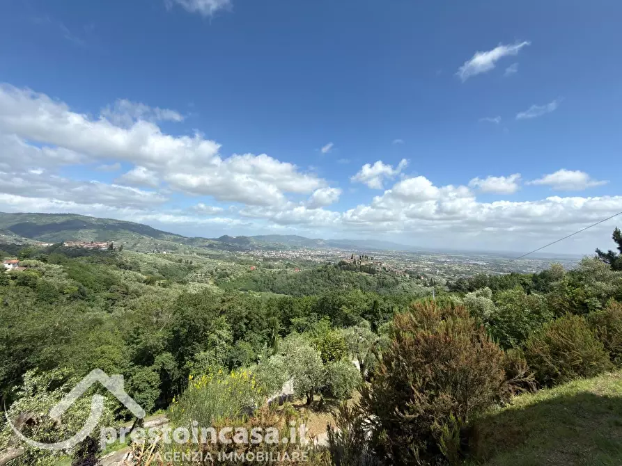 Immagine 3 di Villa in vendita  a Buggiano