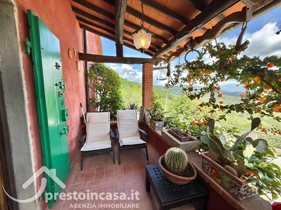 Immagine 31 di Villa in vendita  a Buggiano