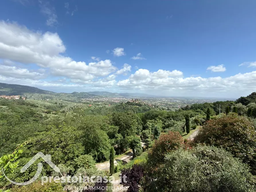 Immagine 43 di Villa in vendita  a Buggiano