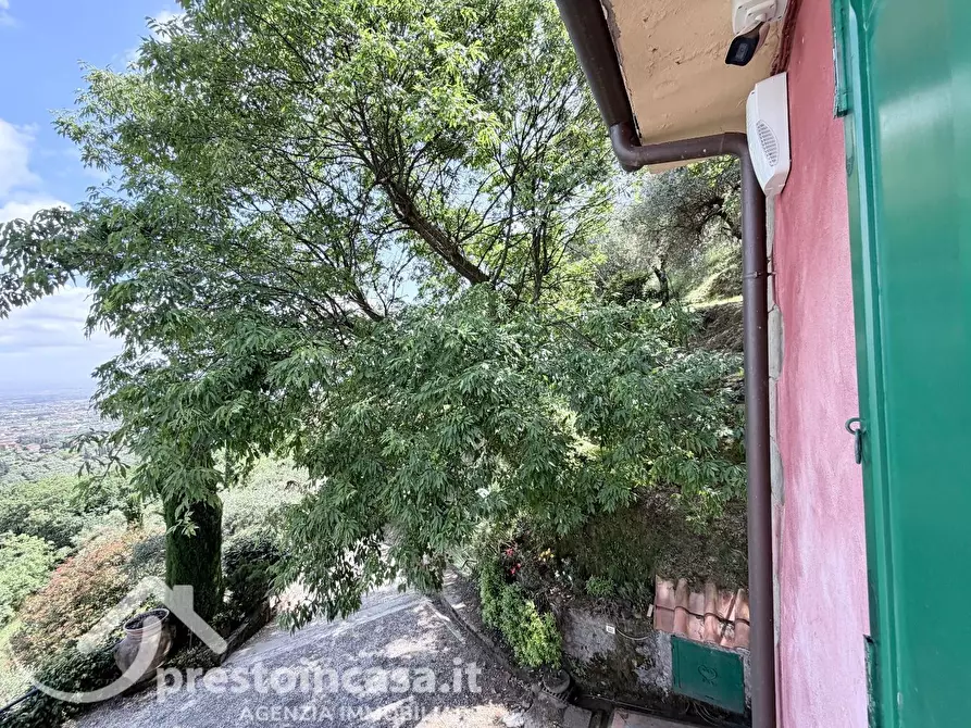 Immagine 62 di Villa in vendita  a Buggiano