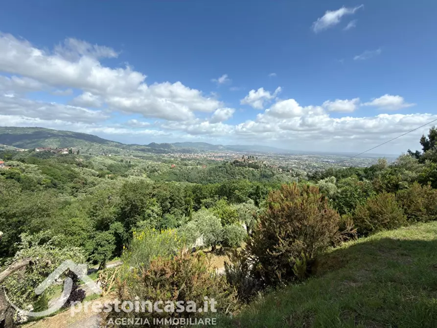 Immagine 38 di Villa in vendita  a Buggiano