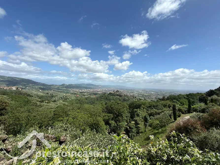 Immagine 4 di Villa in vendita  a Buggiano