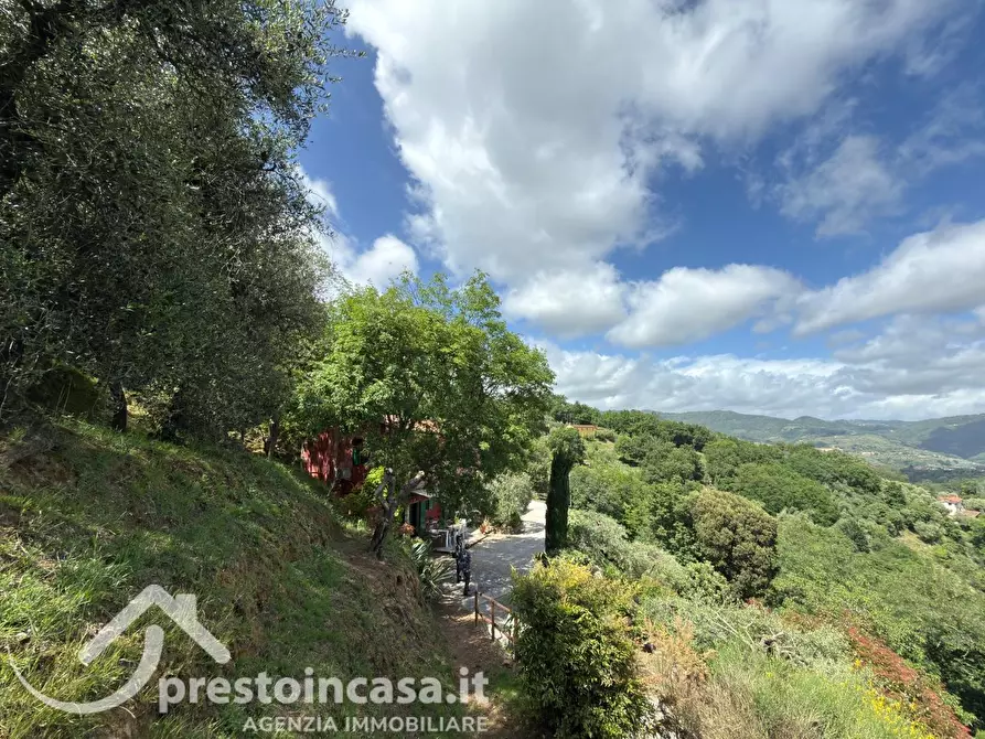 Immagine 41 di Villa in vendita  a Buggiano