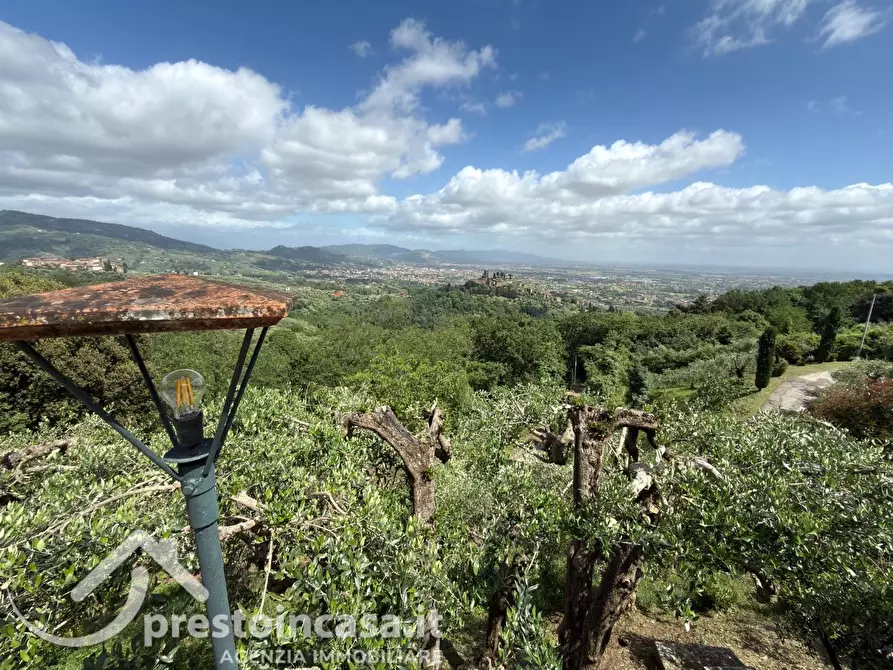 Immagine 50 di Villa in vendita  a Buggiano