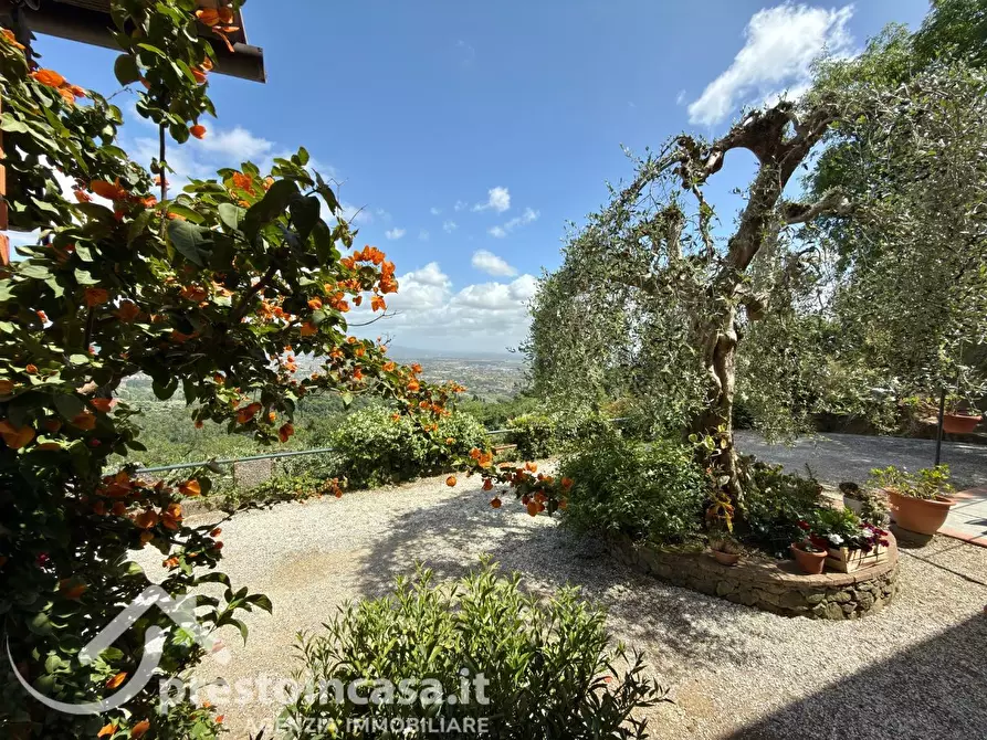 Immagine 34 di Villa in vendita  a Buggiano