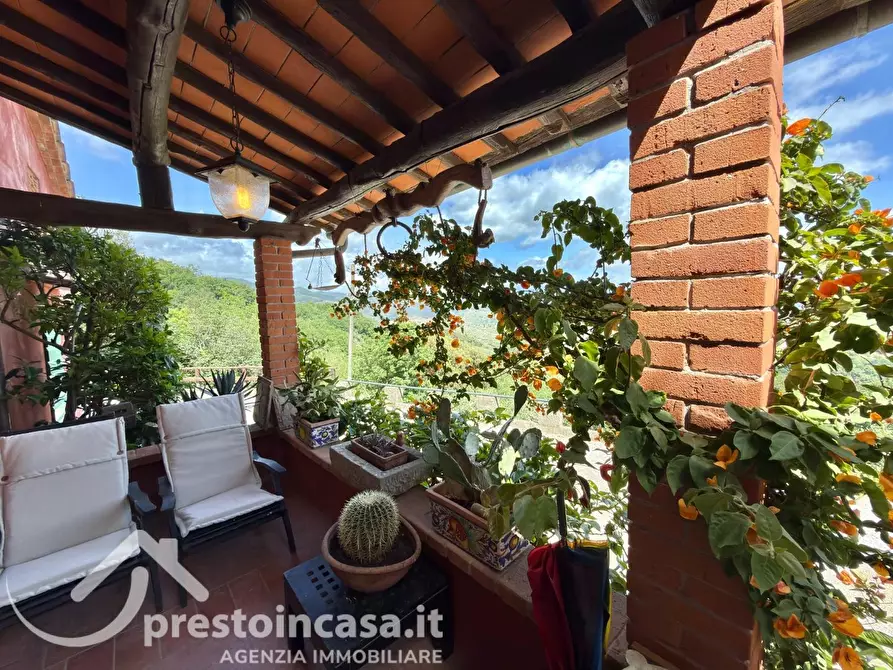 Immagine 33 di Villa in vendita  a Buggiano
