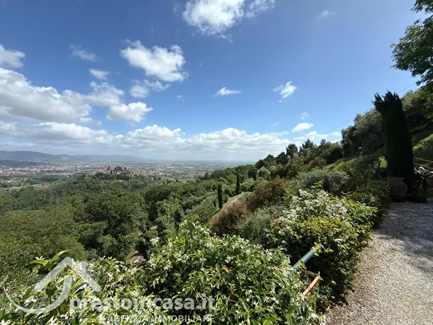 Immagine 37 di Villa in vendita  a Buggiano