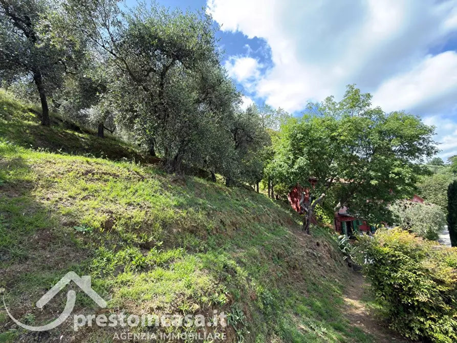 Immagine 39 di Villa in vendita  a Buggiano