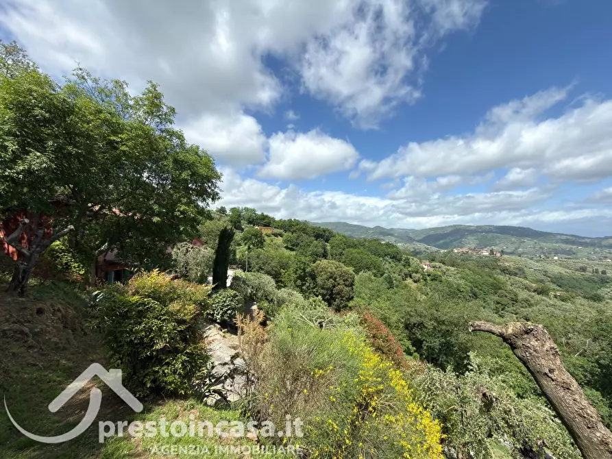 Immagine 40 di Villa in vendita  a Buggiano