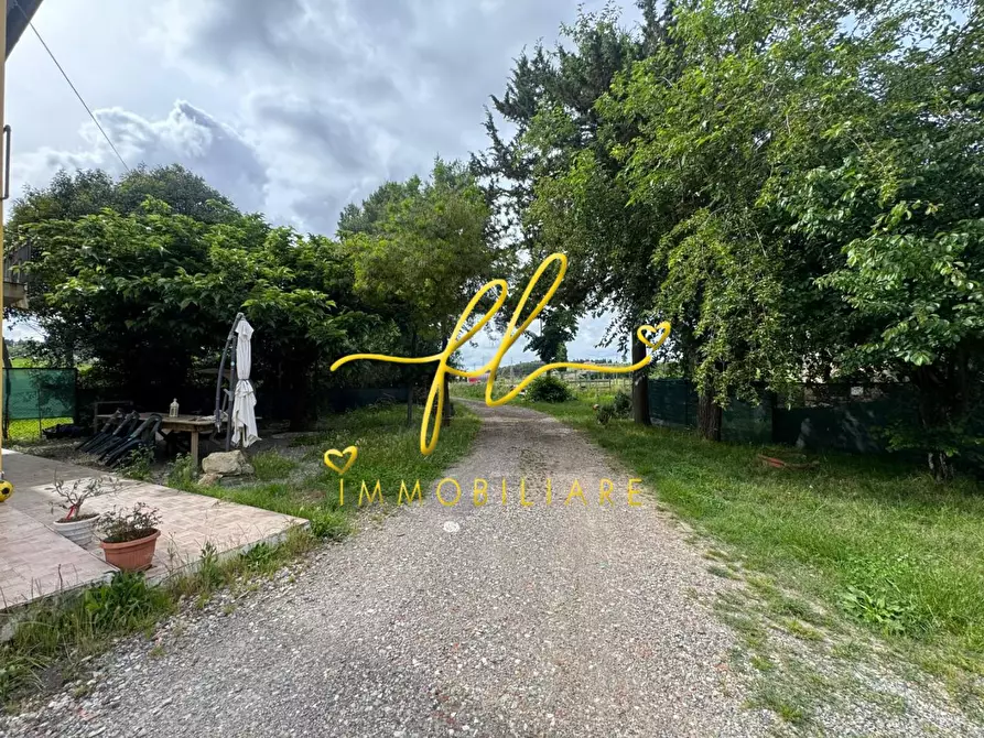 Immagine 35 di Casa indipendente in vendita  a Collesalvetti