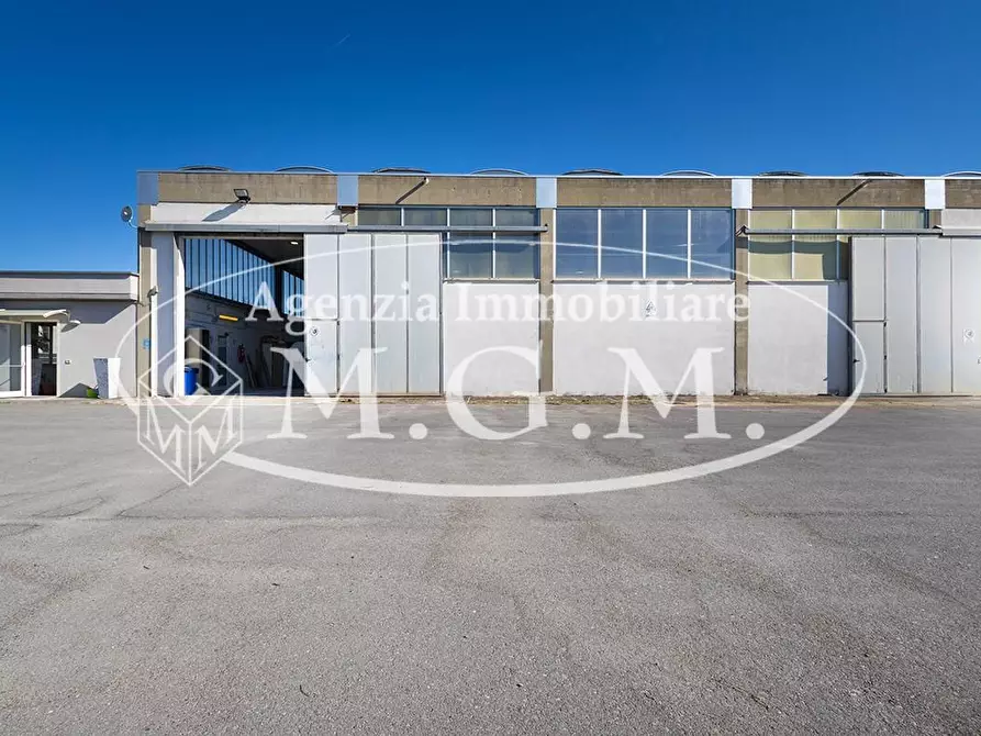 Immagine 12 di Capannone industriale in vendita  a Casciana Terme Lari