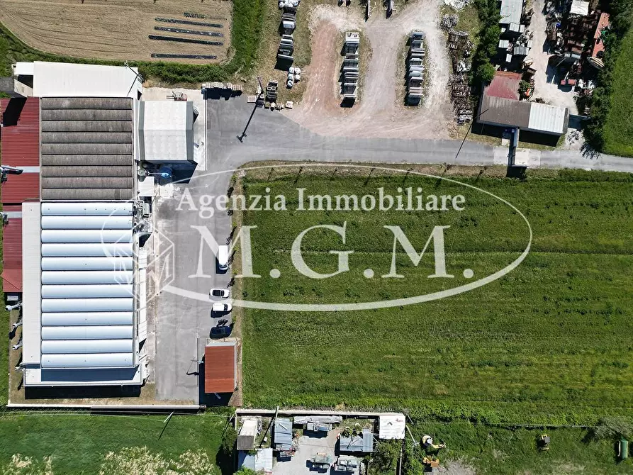 Immagine 2 di Capannone industriale in vendita  a Casciana Terme Lari