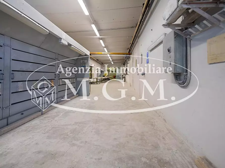 Immagine 18 di Capannone industriale in vendita  a Casciana Terme Lari