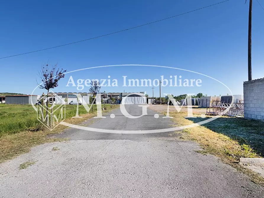 Immagine 9 di Capannone industriale in vendita  a Casciana Terme Lari