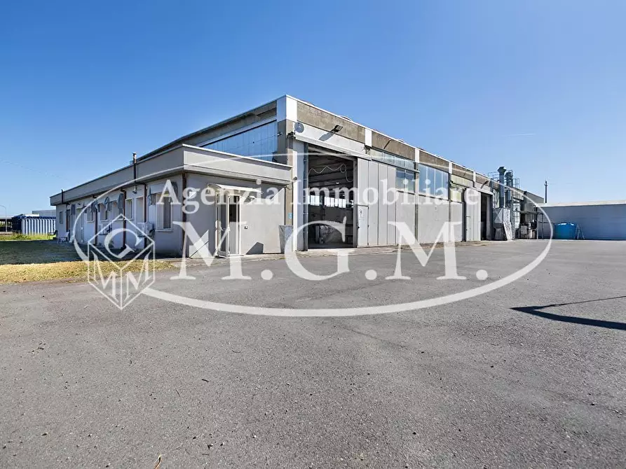 Immagine 14 di Capannone industriale in vendita  a Casciana Terme Lari