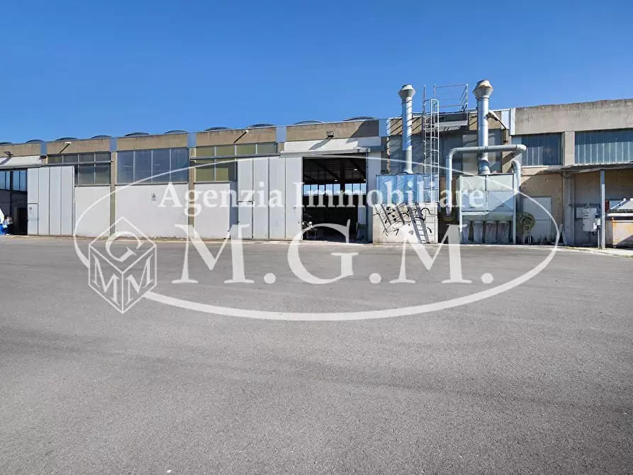Immagine 13 di Capannone industriale in vendita  a Casciana Terme Lari