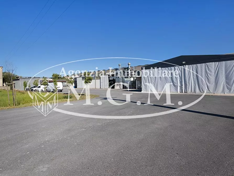 Immagine 11 di Capannone industriale in vendita  a Casciana Terme Lari