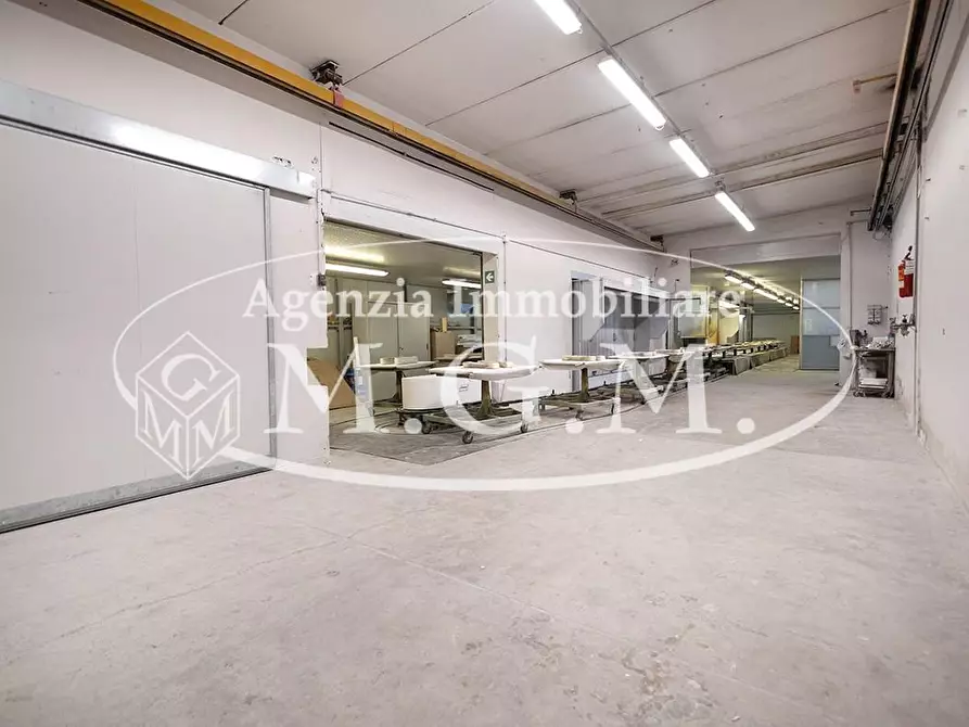 Immagine 19 di Capannone industriale in vendita  a Casciana Terme Lari