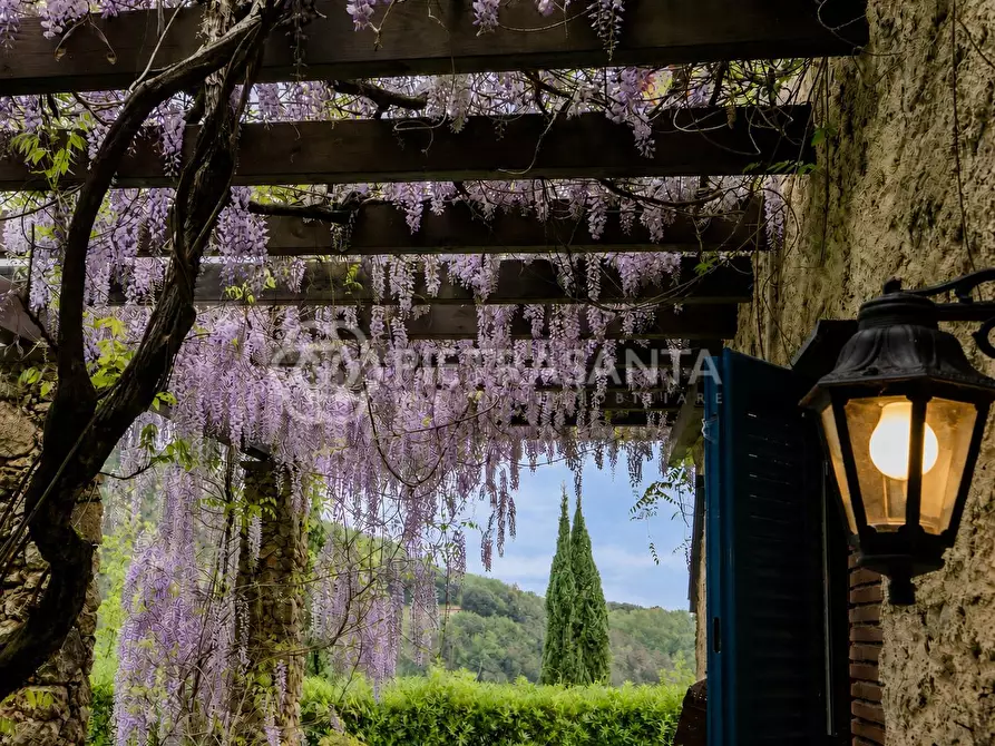 Immagine 9 di Rustico / casale in vendita  a Pietrasanta