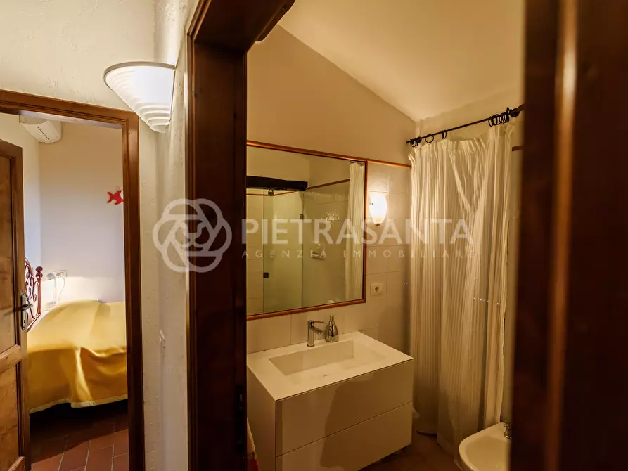 Immagine 52 di Rustico / casale in vendita  a Pietrasanta