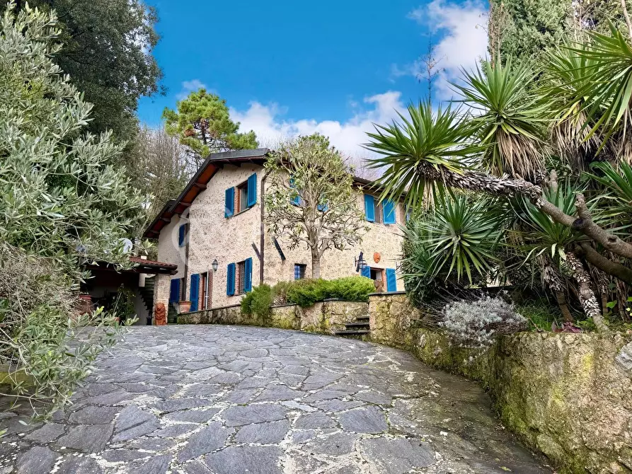 Immagine 2 di Rustico / casale in vendita  a Pietrasanta
