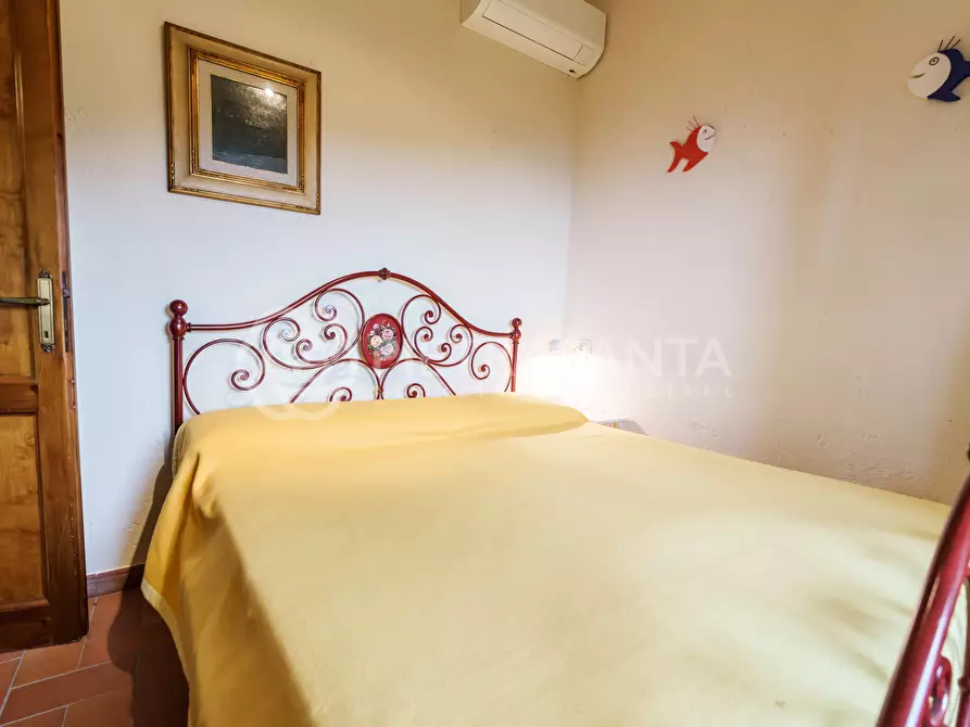 Immagine 54 di Rustico / casale in vendita  a Pietrasanta