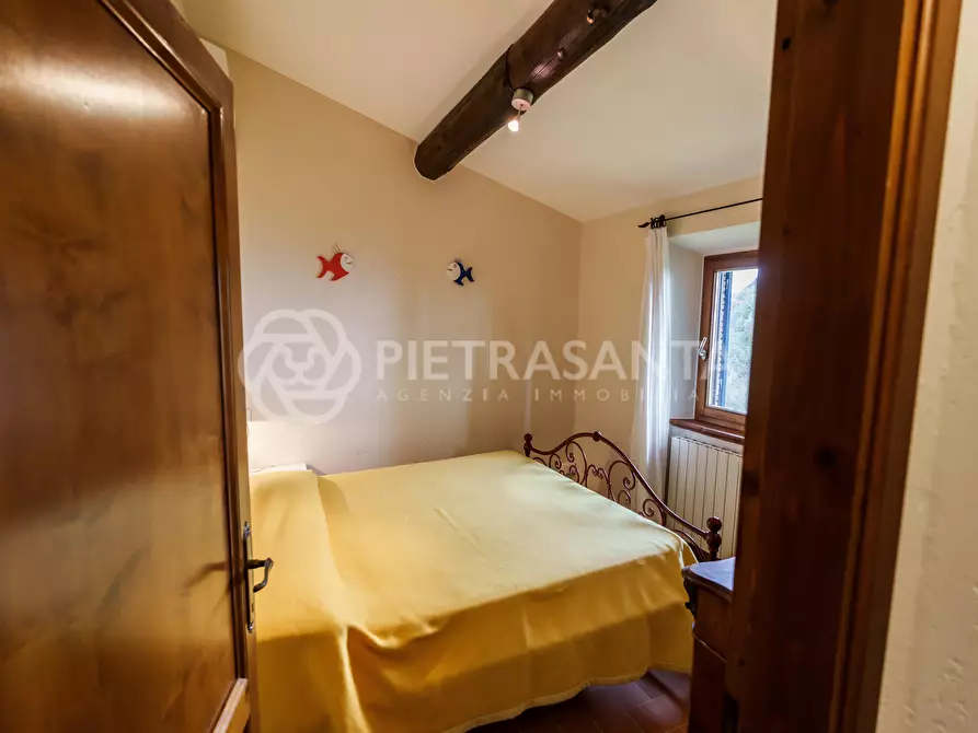 Immagine 53 di Rustico / casale in vendita  a Pietrasanta