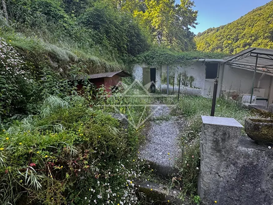 Immagine 18 di Terratetto in vendita  a Carrara