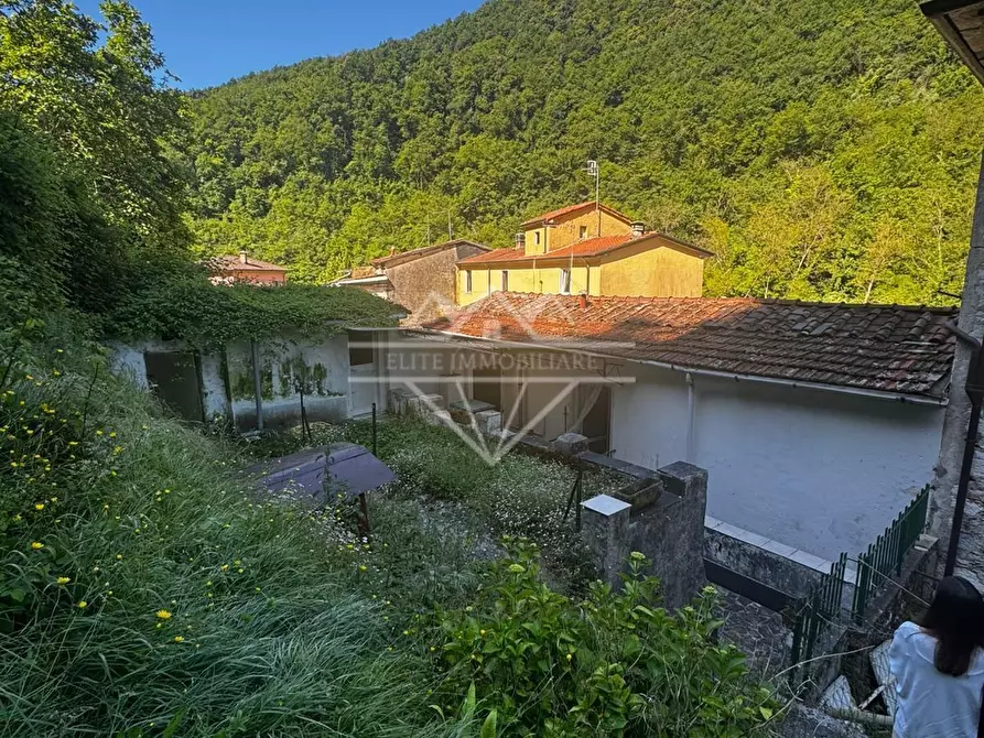 Immagine 1 di Terratetto in vendita  a Carrara