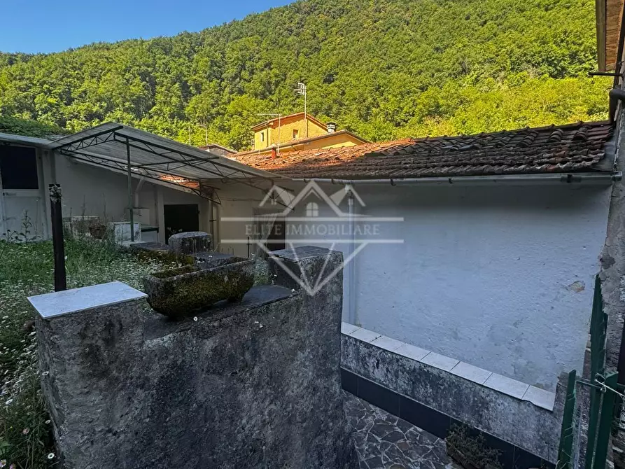 Immagine 19 di Terratetto in vendita  a Carrara